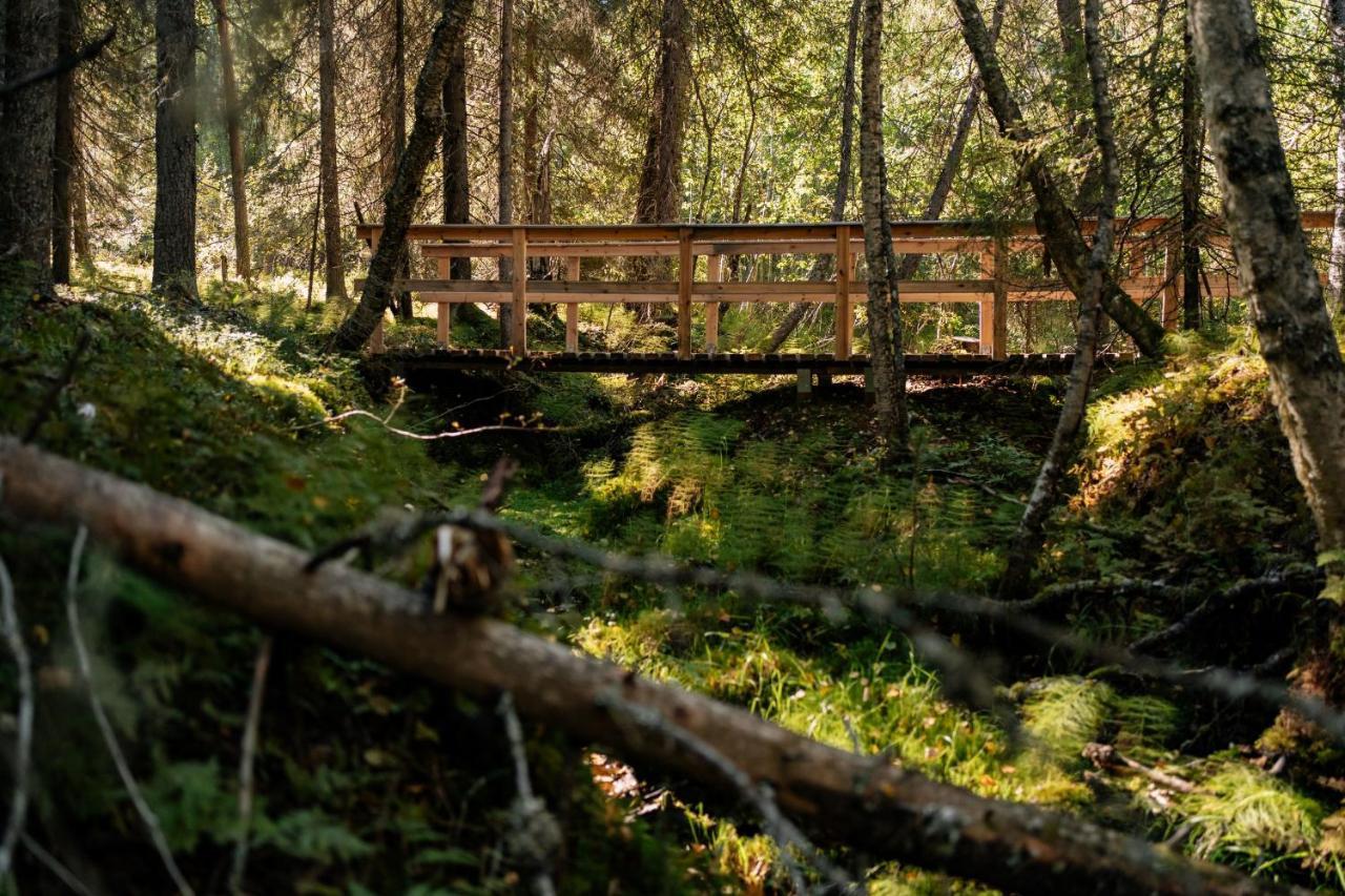 Ollero Eco Lodge Rovaniemi Exteriér fotografie