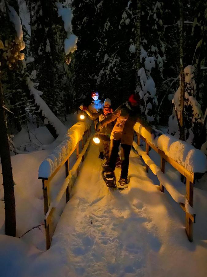Ollero Eco Lodge Rovaniemi Exteriér fotografie