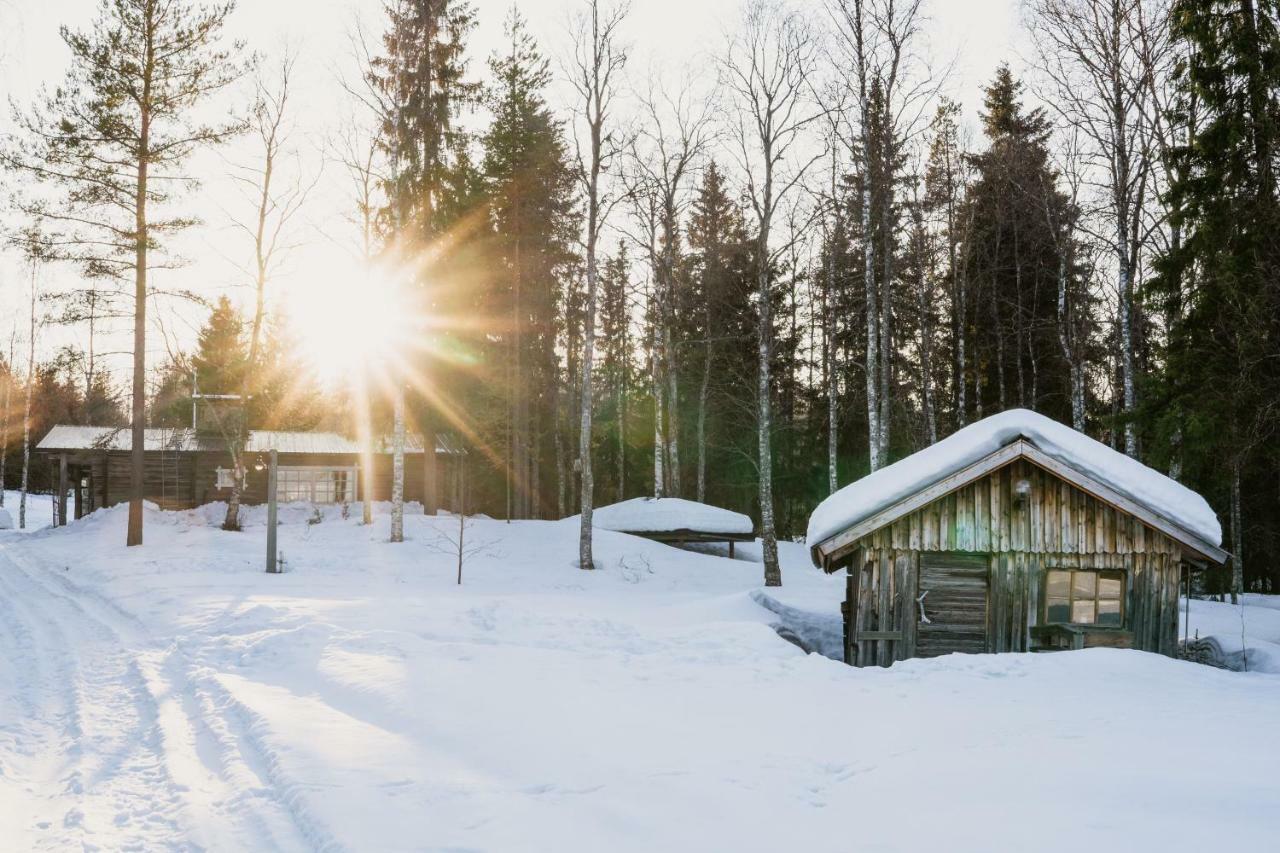 Ollero Eco Lodge Rovaniemi Exteriér fotografie