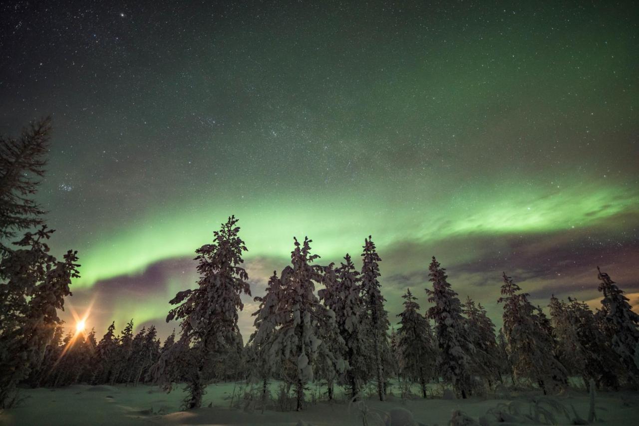 Ollero Eco Lodge Rovaniemi Exteriér fotografie